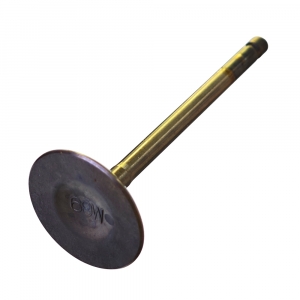 Клапан впускной Yamaha F20-F60, FT25, FT50-FT60  69W-12111-00-00 ― 1998-2026  NEXT