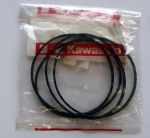 Уплотнительное кольцо стартера KAWASAKI  92055-1381