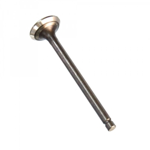 Клапан выпускной Suzuki DF40-DF50, DF40A-DF60A  12915-73G20-000   DOKURO ― 1998-2026  NEXT