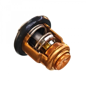 Термостат 60°C Yamaha F4-F60, F100  66M-12411-01-00 ― 1998-2026  NEXT