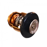 Термостат 60°C Yamaha F4-F60, F100  66M-12411-01-00
