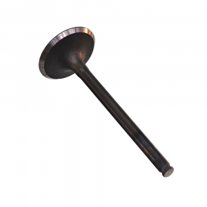 Клапан впускной Honda BF15D3, BF20D3  14711-ZY1-000 ― 1998-2026  NEXT